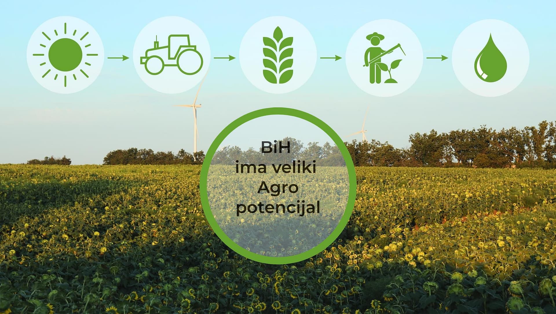 Agro potencijal u BiH. Agrosolari.
